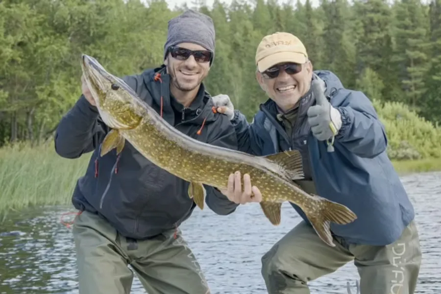 Brochet à la mouche