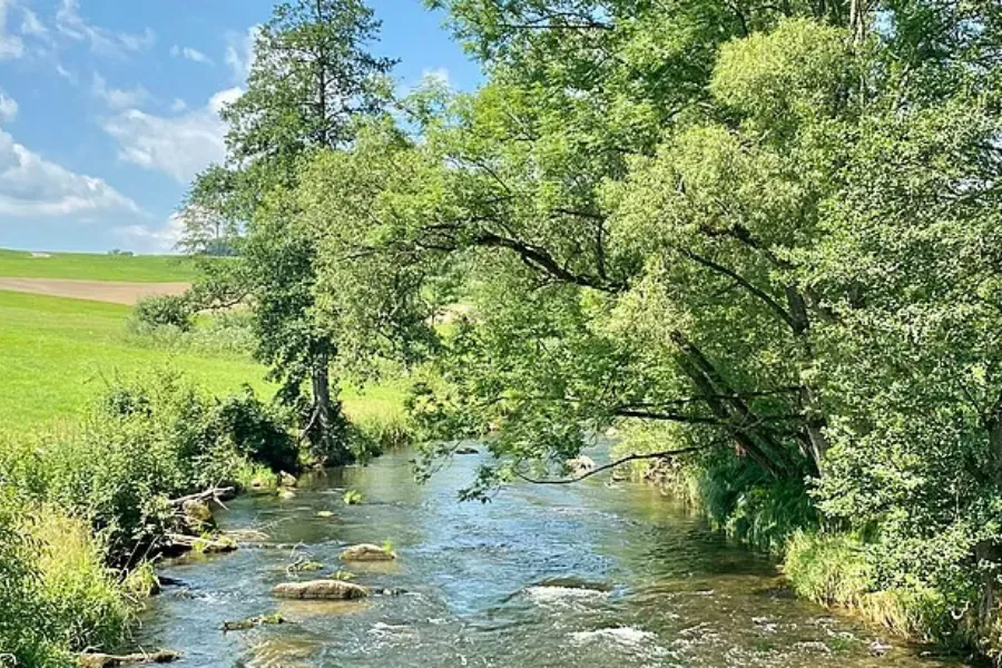 Pêche à la mouche en Autriche