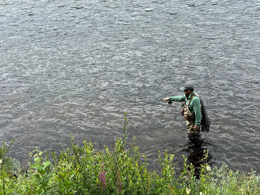 Pêche à la mouche en Norvège sur la Trysilaelva