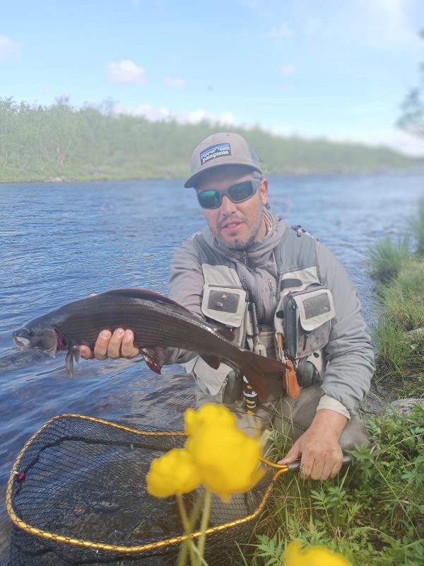 Ombre commun des rivières de Norvège, Finnmark