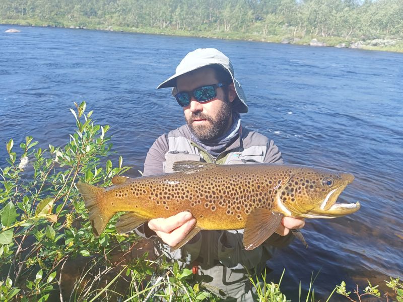 Magnifique truite fario de Norvège, Finnmark