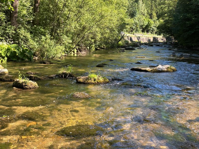 spot à truite et à ombre commun en Slovaquie