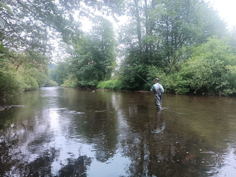 rivières sauvages de Slovaquie