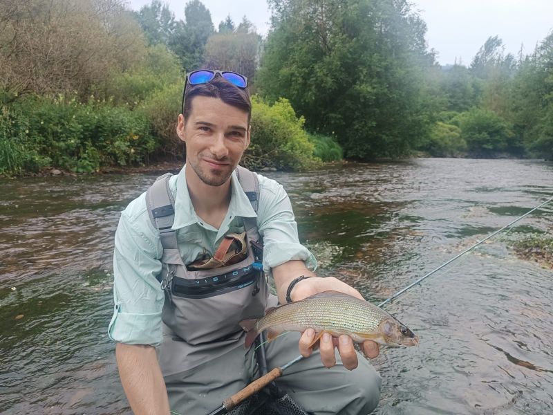 ombre commun pris à la mouche en Slovaquie